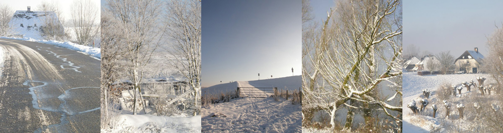 Winter 2012 in de Ooijpolder foto's van Ann Hoogendoorn - beeldend kunstenaar
