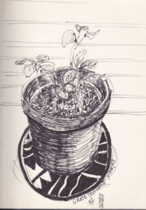 Tuinschets van de tuinvrouw Ann Hoogendoorn